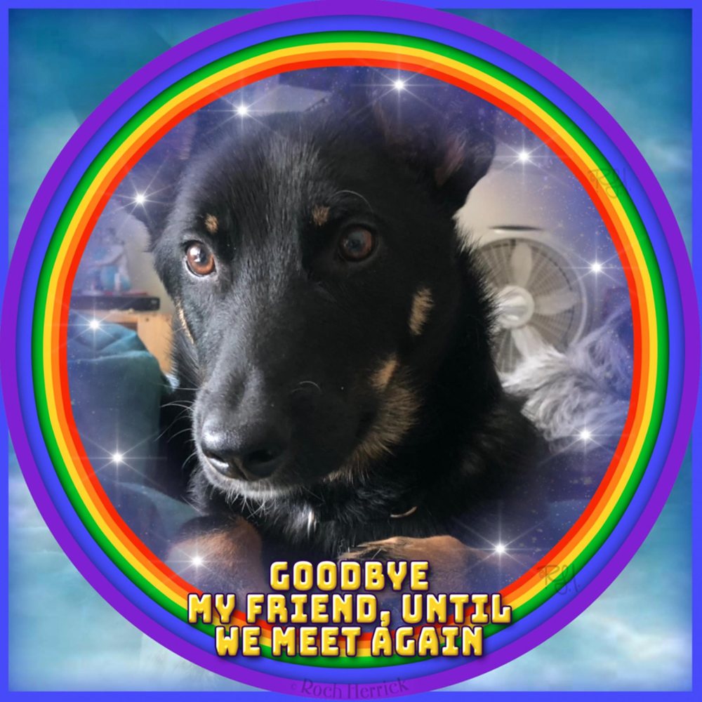 Meet me your awesome Posher, Tamera